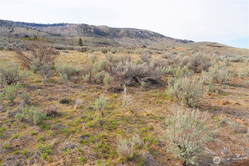 0 Parcel E McNeil Canyon Rd