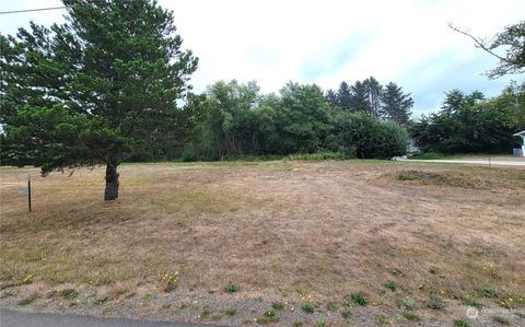 Photo of 1606 Idaho Avenue S, Long Beach, WA 98631 (MLS # 2155744)