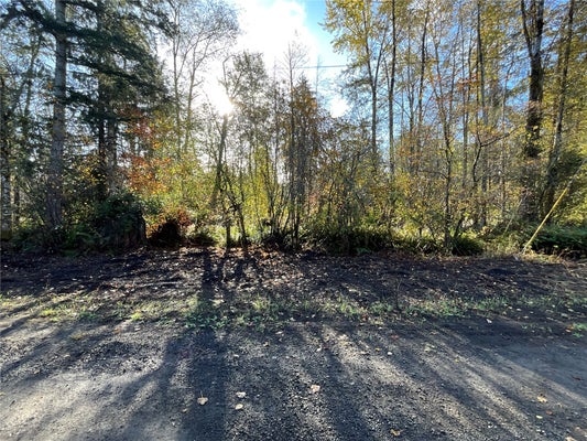 1 XX W HAMMA HAMMA DRIVE, ELMA, WA 98541 - Image 7c8fbbdddcae5a3729ce0778e8ff37ab/4020742503