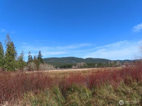 30 Belle Lane McCleary WA 98557