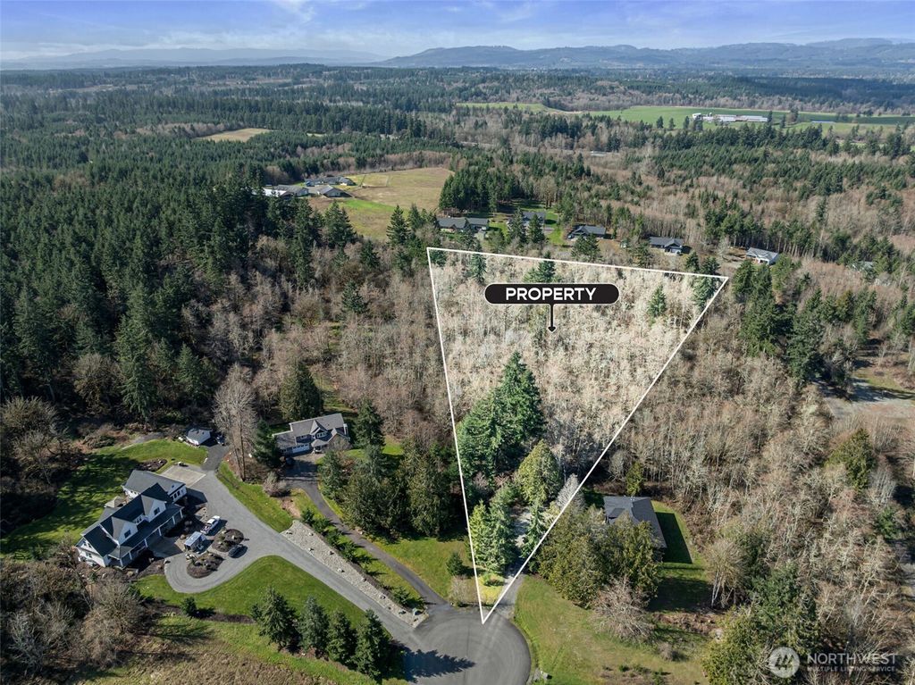 Photo of 3244 137th Lane SW, Tenino, WA 98589 (MLS # 2489440)