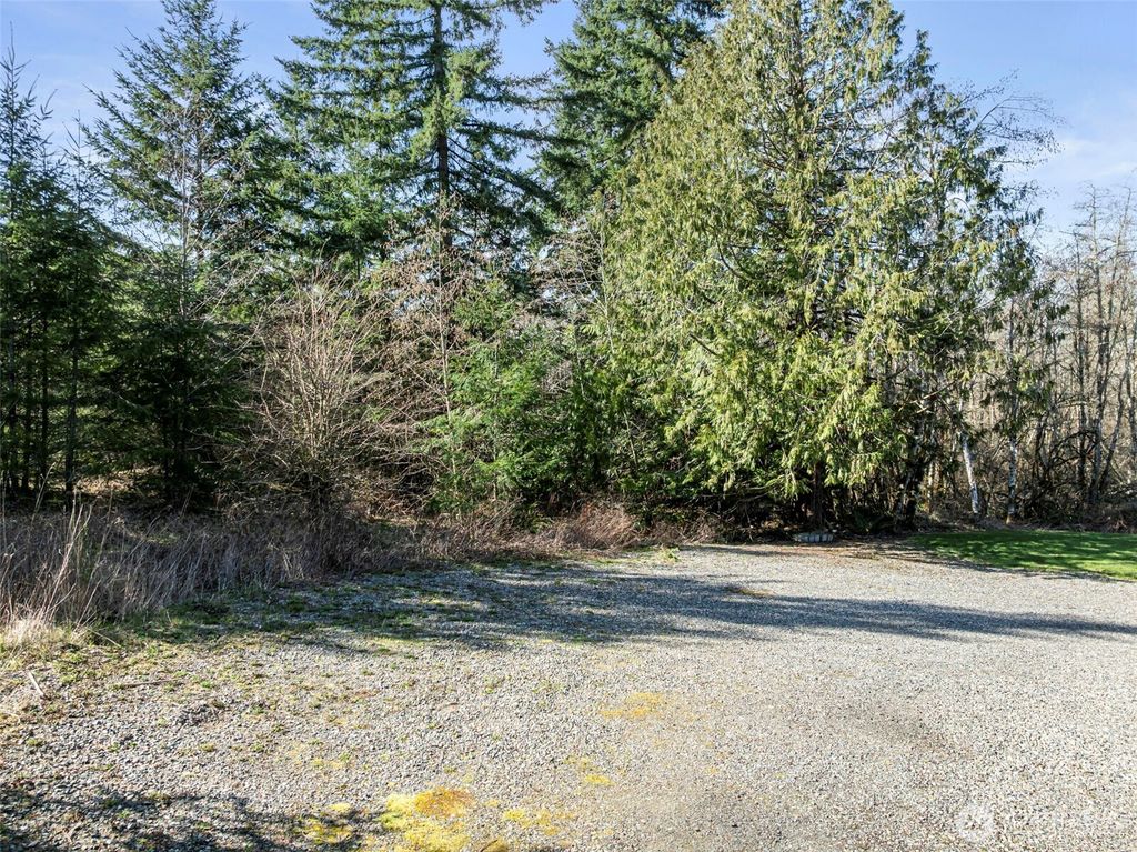 Photo of 3244 137th Lane SW, Tenino, WA 98589 (MLS # 2489440)