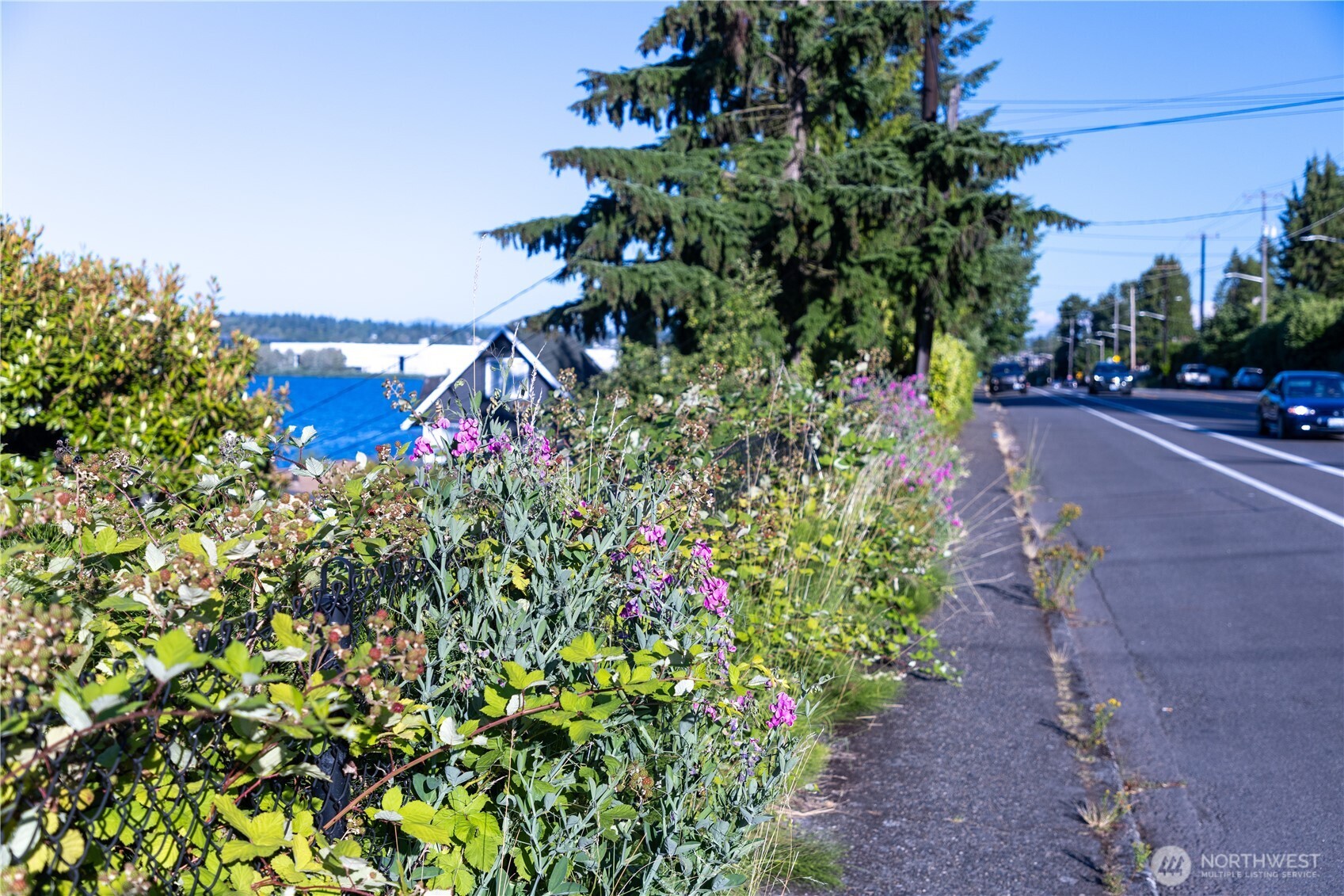 0 Rainier Avenue S