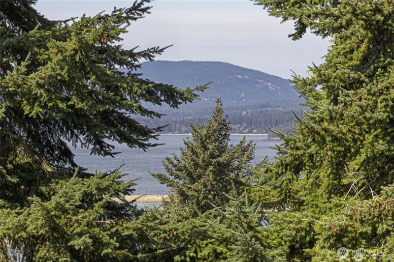 27 Dryad Place