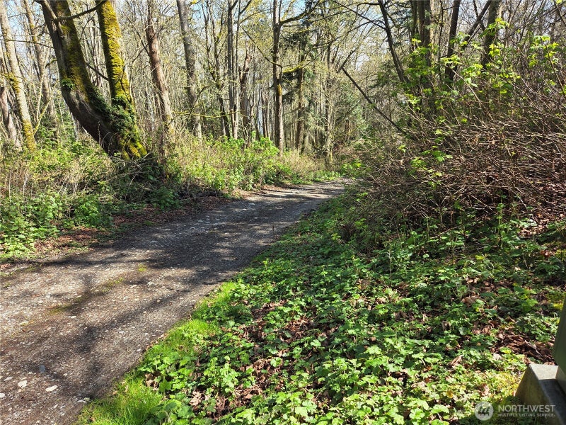 12 Gedney Way