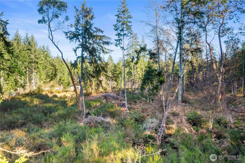 0 E Harstine Island Road S