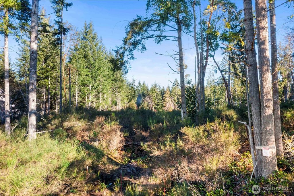 Photo of 0 E Harstine Island Road S, Shelton, WA 98584 (MLS # 2472521)