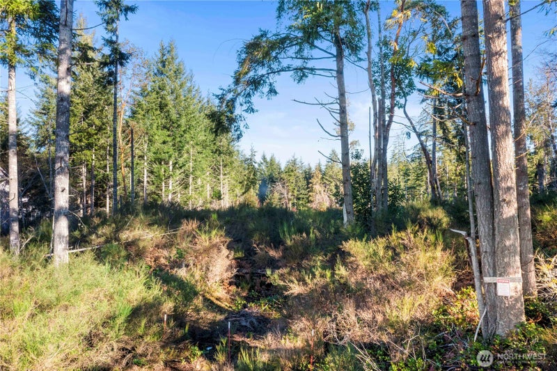 0 E Harstine Island Road S