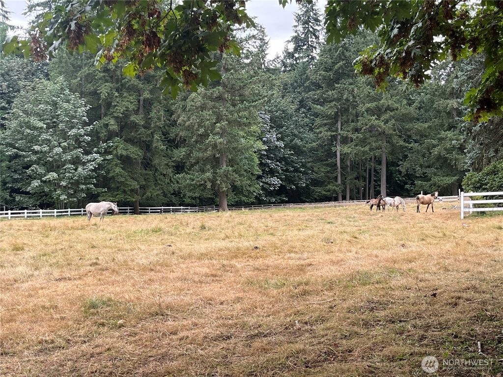 Photo of 20302 85th Avenue SE, Snohomish, WA 98296 (MLS # 2348640)