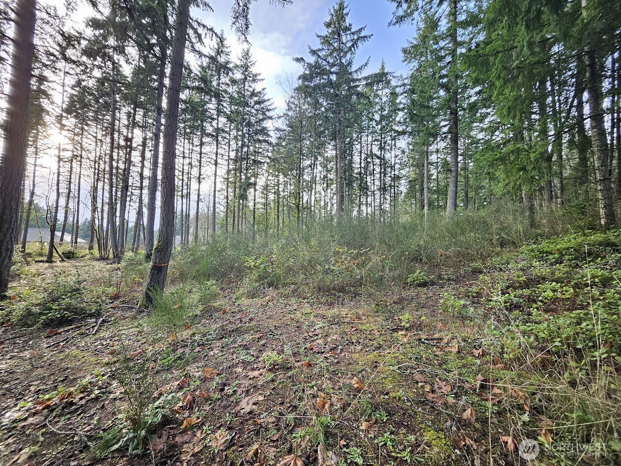 1906 NE Paulson Road