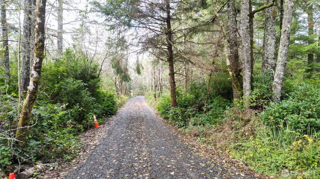 Photo of 36815 Stackpole Road, Oysterville, WA 98641 (MLS # 2459706)