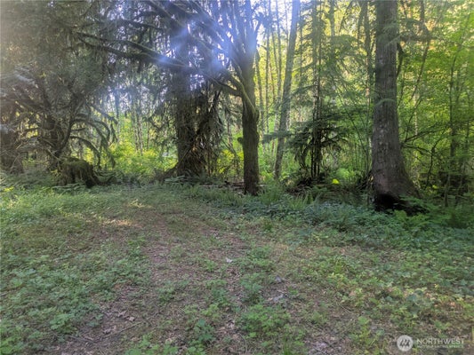 63323 W CASCADE WAY # D3-19, MARBLEMOUNT, WA 98267 - Image 7d677891dfd4fee95c0815cce086bc2f/1876329021