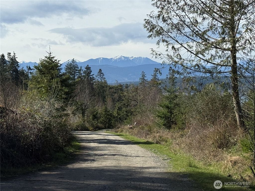 Photo of 282 Drake Road, Port Townsend, WA 98368 (MLS # 2499761)