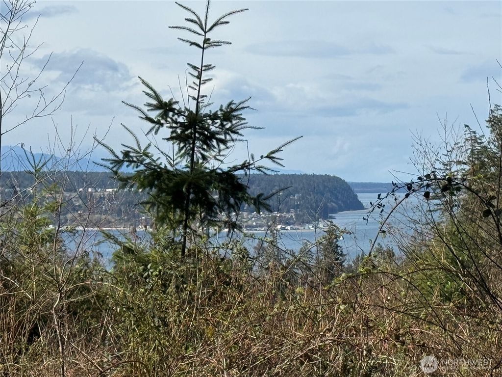 Photo of 282 Drake Road, Port Townsend, WA 98368 (MLS # 2499761)