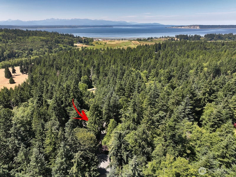 7391 Tauscher Road