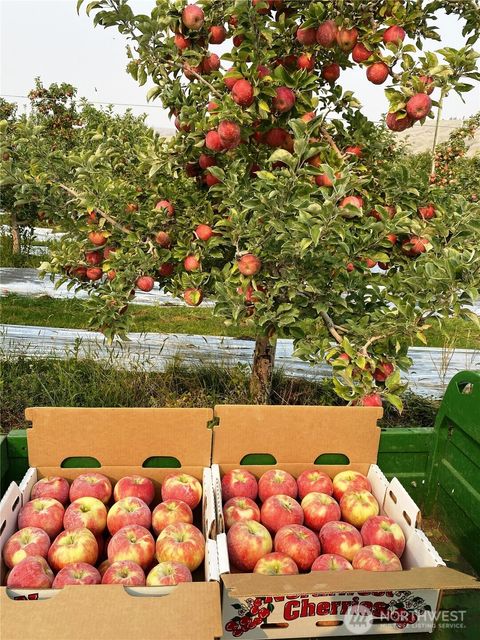 Photo of 618 Jack Wells Road, Bridgeport, WA 98813 (MLS # 2512441)