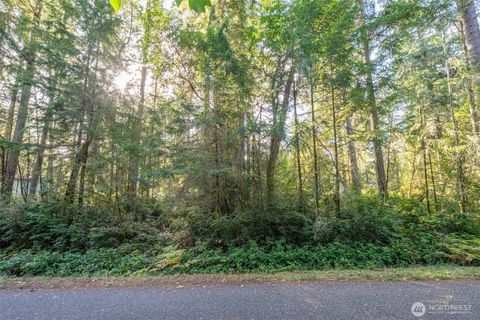 Photo of 11316 Breaker Way, Anderson Island, WA 98303 (MLS # 2446719)