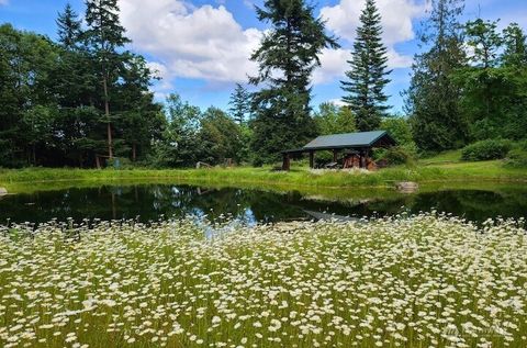 Photo of 0 Miguel Lane, Orcas Island, WA 98245 (MLS # 2464975)