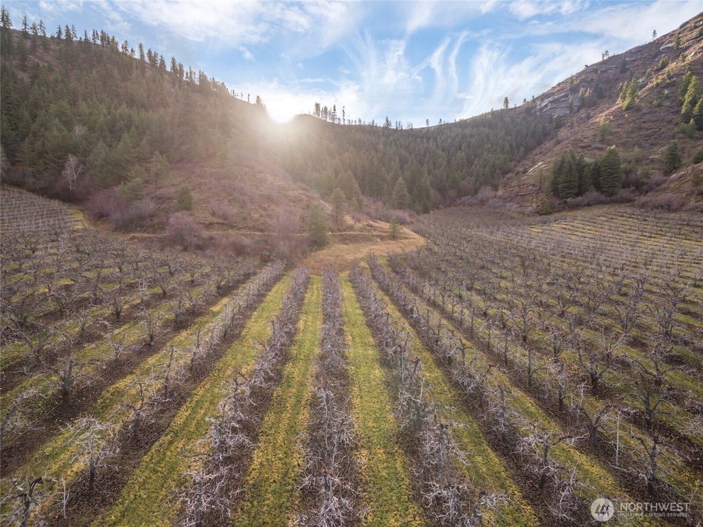 Photo of 0 Tigner Road, Cashmere, WA 98815 (MLS # 2476538)