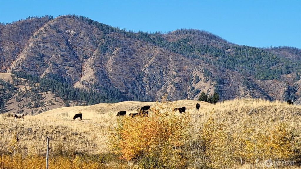 Photo of 0 Harrier Lane, Tonasket, WA 98855 (MLS # 2500975)