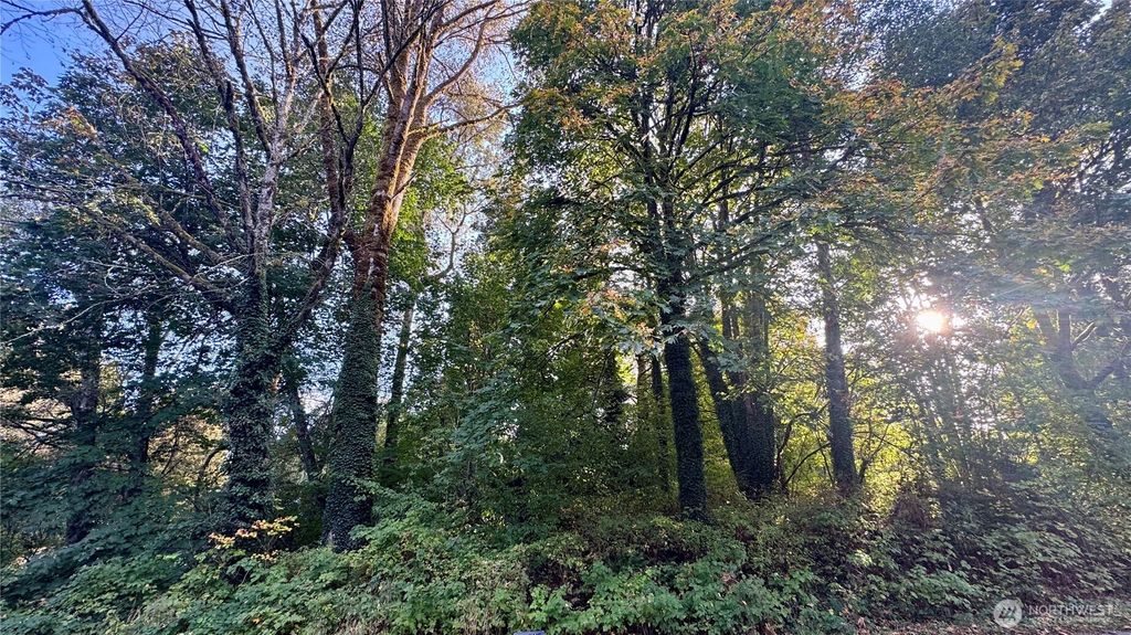 Photo of 0 Lt 14&amp;15 Cape Horn Drive, Concrete, WA 98237 (MLS # 2444729)
