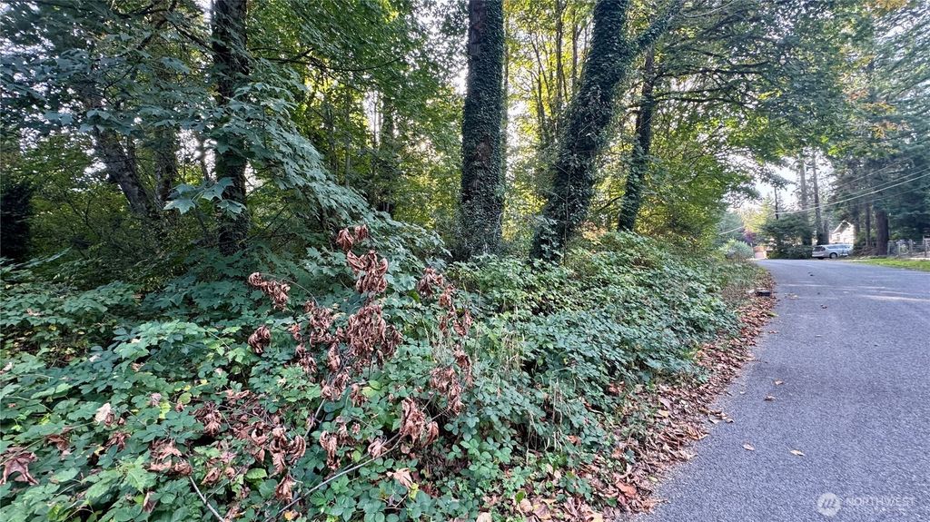 Photo of 0 Lt 14&amp;15 Cape Horn Drive, Concrete, WA 98237 (MLS # 2444729)