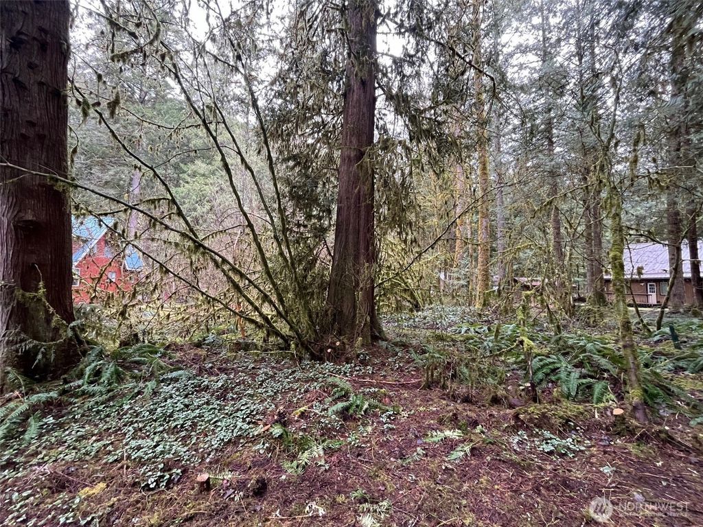 Photo of 7138 Rainier Way, Glacier, WA 98244 (MLS # 2533088)