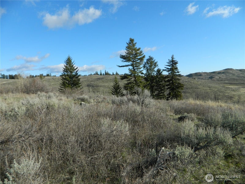 0 TBD Ellemeham Ridge Road