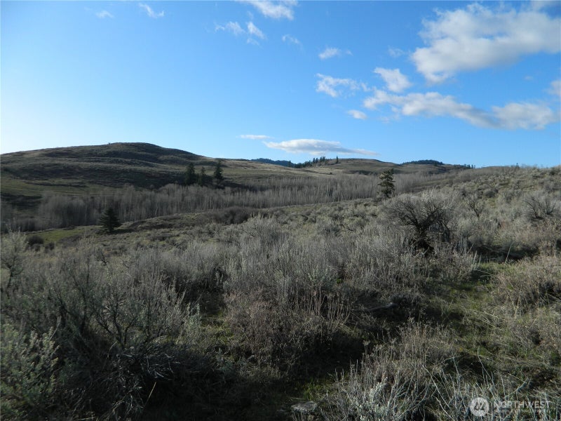 0 TBD Ellemeham Ridge Road