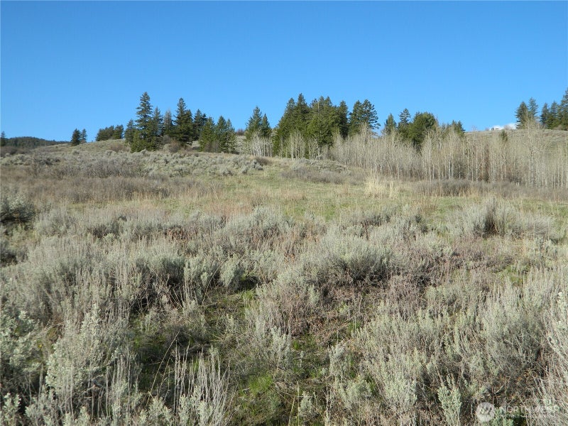 0 TBD Ellemeham Ridge Road