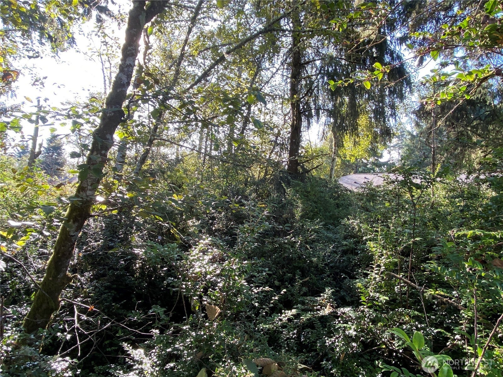 364 Duck Lake Drive SE