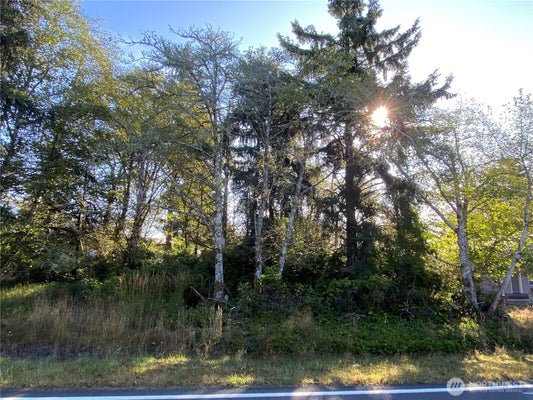 364 DUCK LAKE DR SE, OCEAN SHORES, WA 98569 - Image 7eb2695eae09fbf215b1091f7d6c976e/544267614