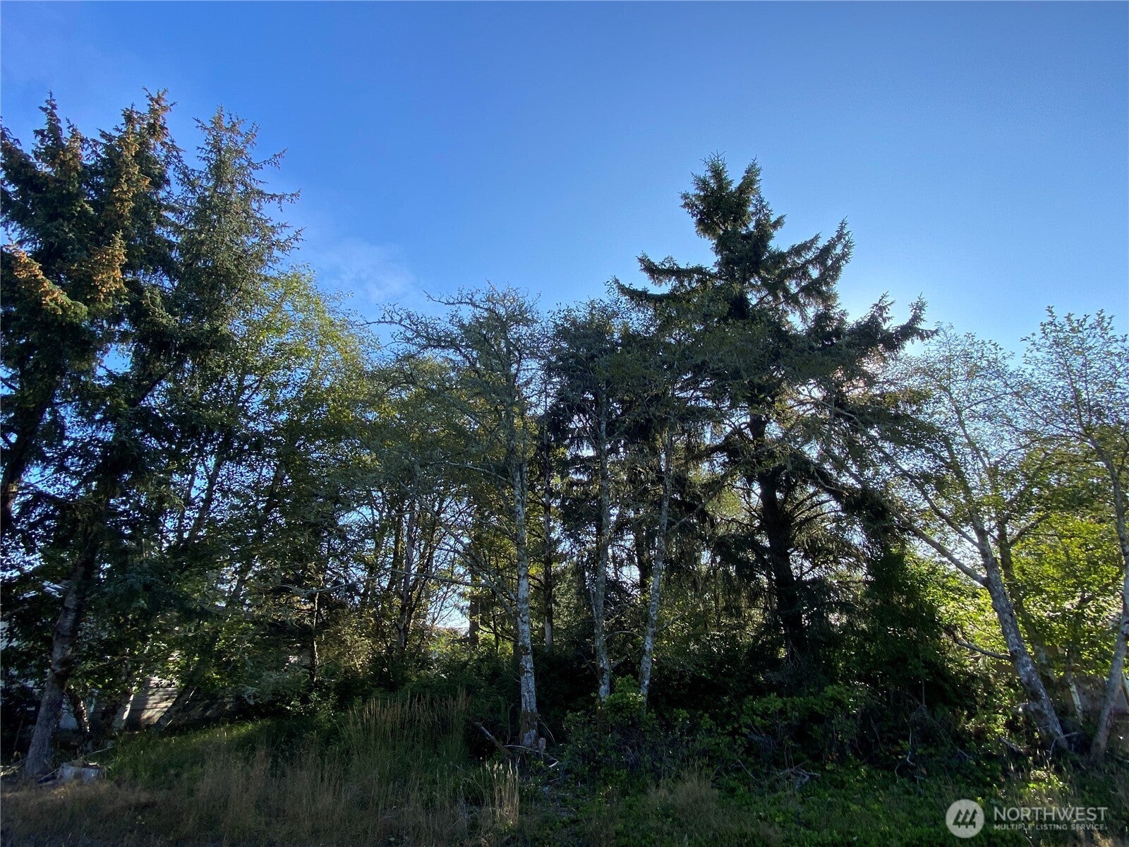 364 Duck Lake Drive SE
