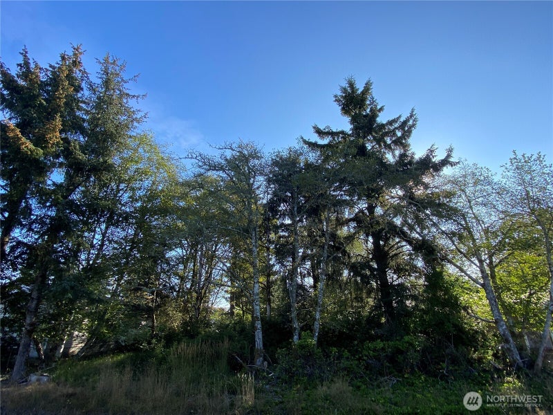 364 Duck Lake Drive SE