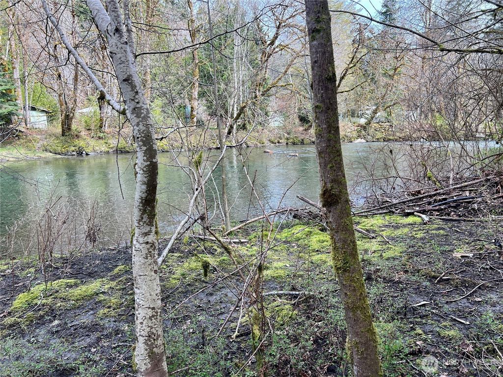 Photo of 680 Mountain Trail, Brinnon, WA 98320 (MLS # 2500109)