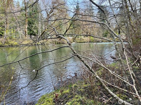 Photo of 680 Mountain Trail, Brinnon, WA 98320 (MLS # 2500109)