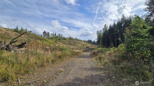 ADDRESS PRIVATE, BUCKLEY, WA 98321 - Image 7efe501bb782d0ca7a5afc108dbef56e/1270110861