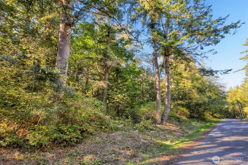 Photo of 0 Skunk Bay Road NE, Hansville, WA 98340 (MLS # 2443863)