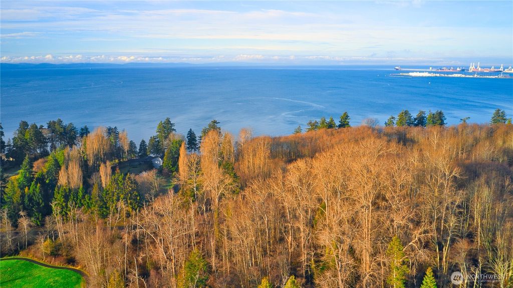 Photo of 211 Marine Drive, Point Roberts, WA 98281 (MLS # 2458999)