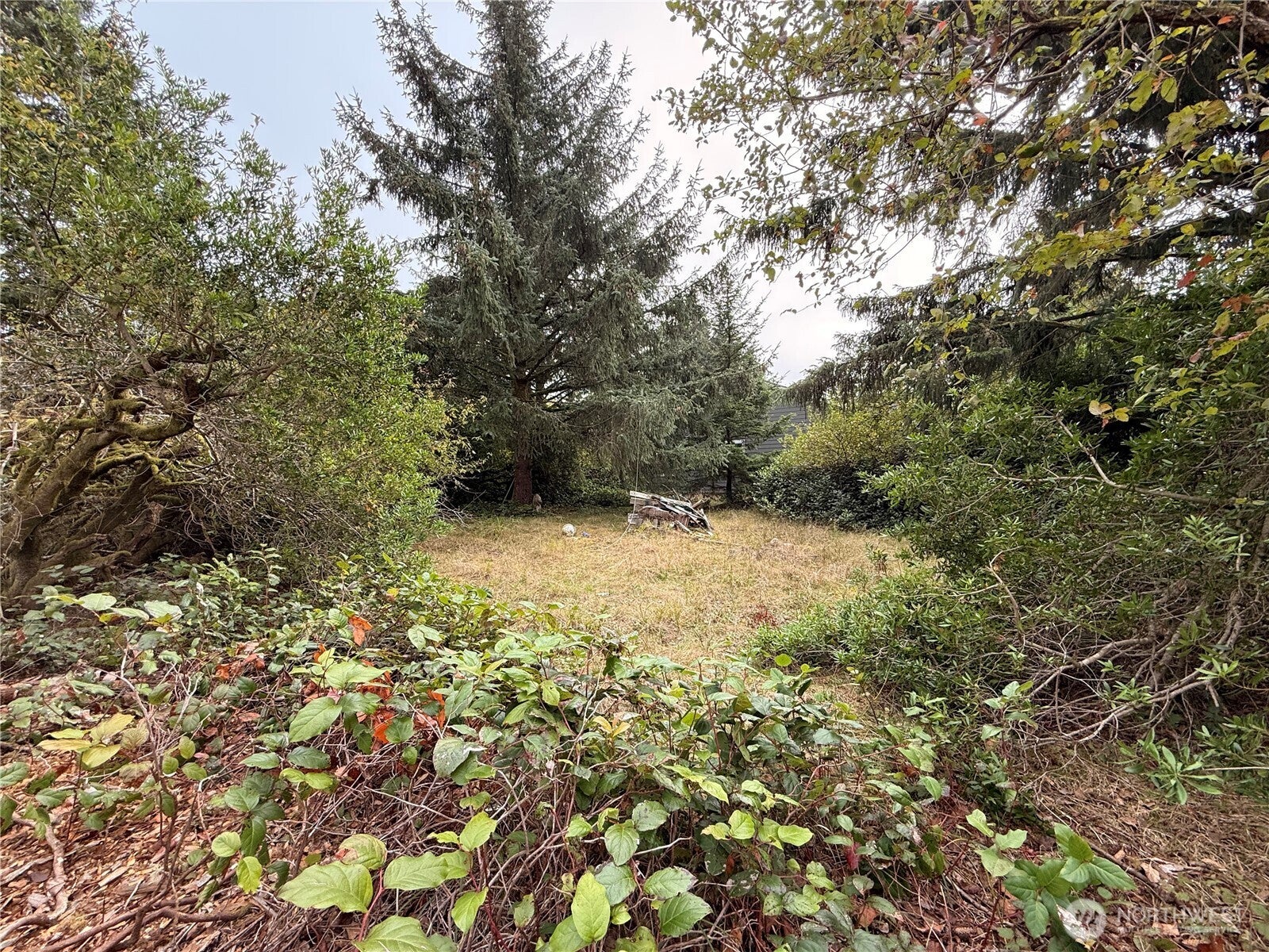 448 Sextans Avenue SW
