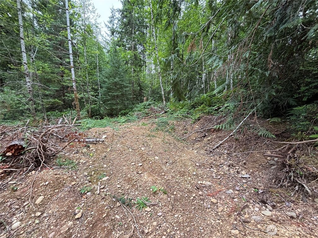 Photo of 51 NE Rhody Lane, Tahuya, WA 98588 (MLS # 2548793)