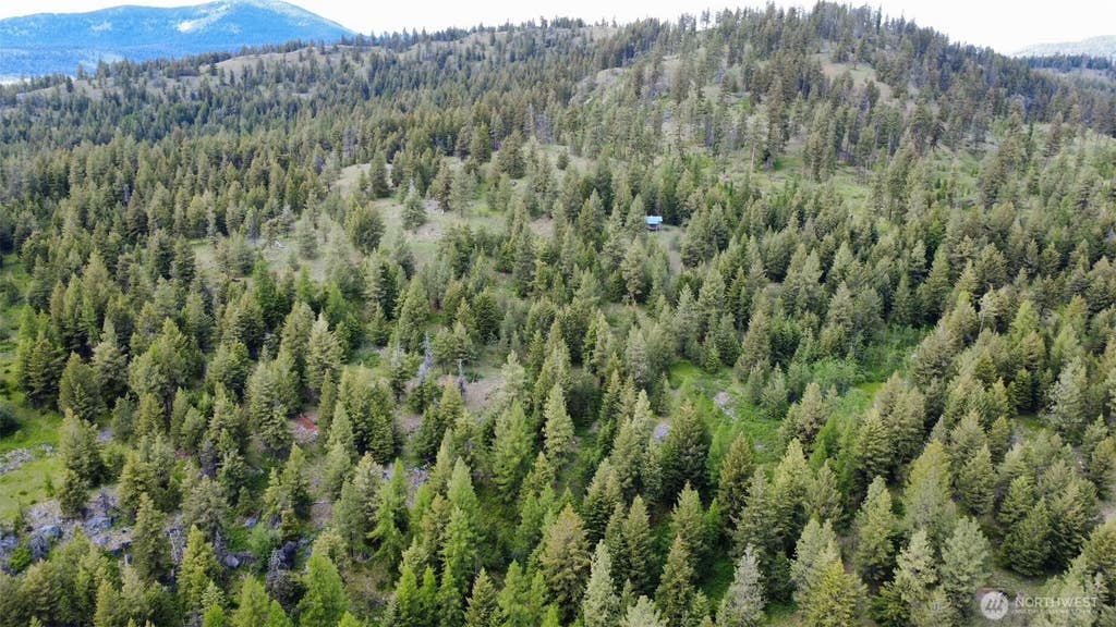 Photo of 0 TBD Blue Meadow Rd, Tonasket, WA 98855 (MLS # 2546766)