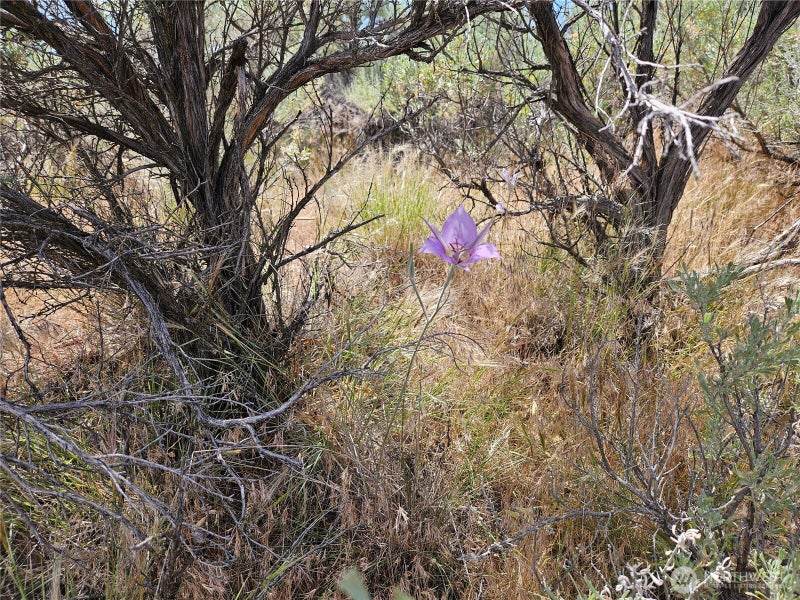 1 W Coyote Trail