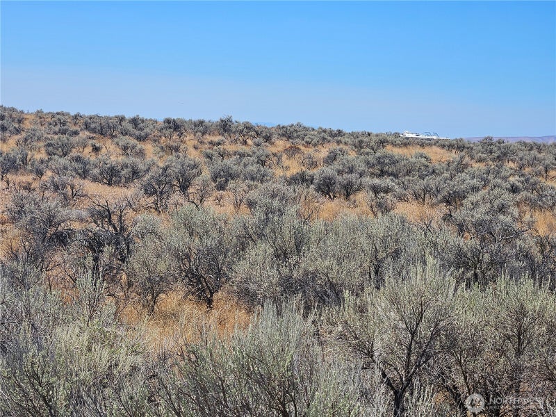 1 W Coyote Trail