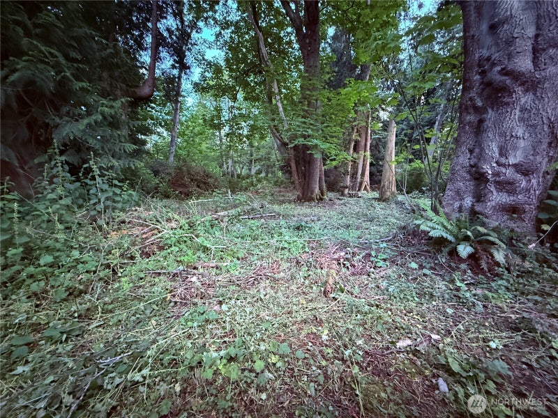 52 Saratoga Drive