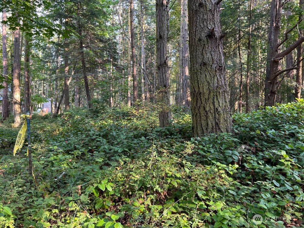 135 Chinook Way