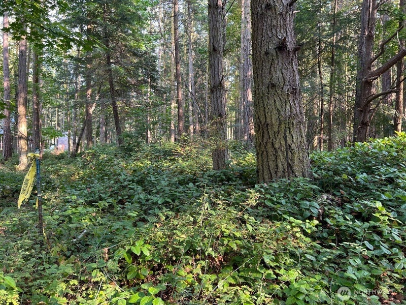 135 Chinook Way