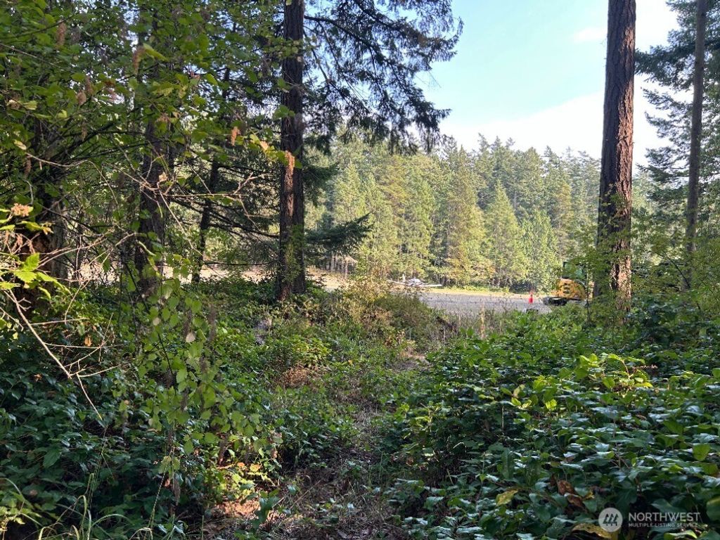 Photo of 135 Chinook Way WAY, Lopez Island, WA 98221 (MLS # 2547650)