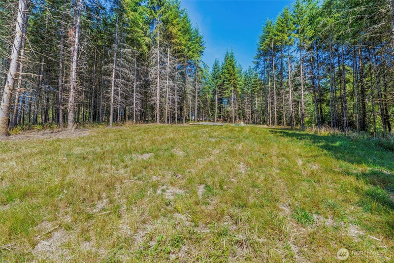 0 Old Tree Farm Drive 2