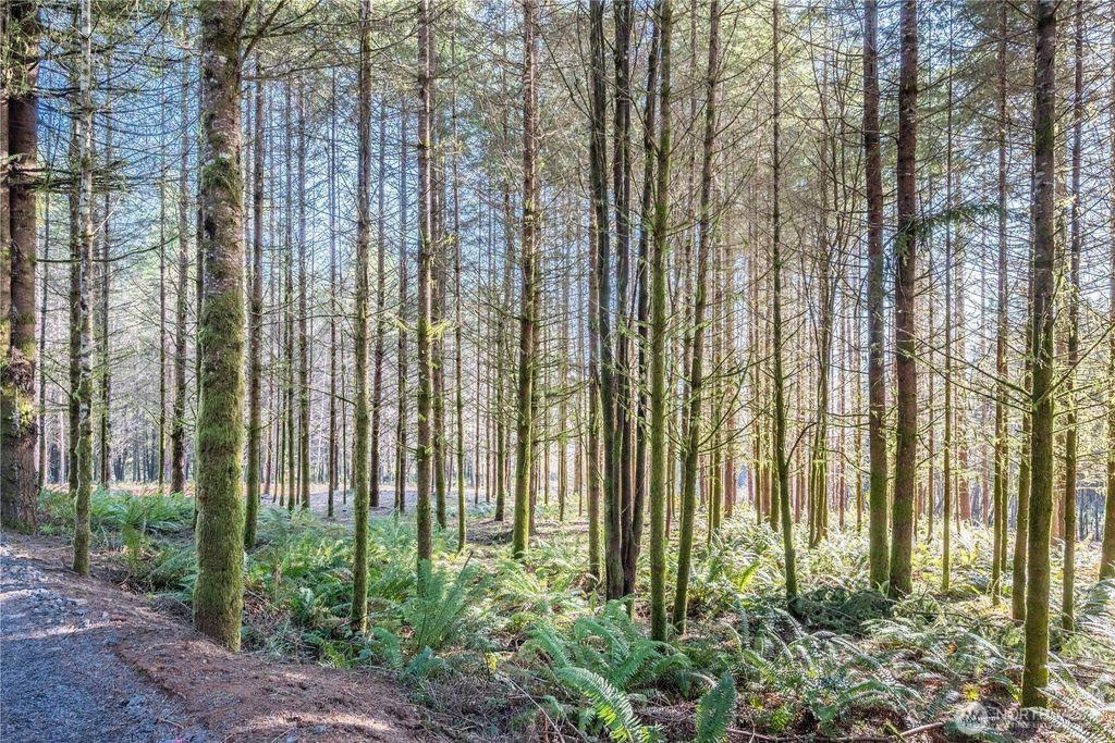 Photo of 0 Bunker Hill Road #B, Longview, WA 98632 (MLS # 2485735)